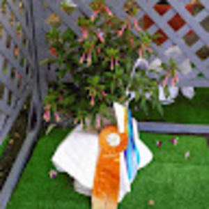 Meet your Posher, Margaret